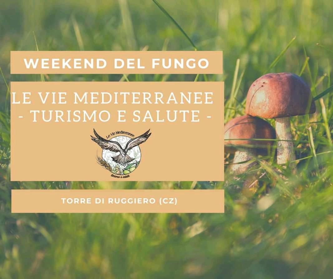 Le Vie Mediterranee Torre di Ruggiero Exterior foto